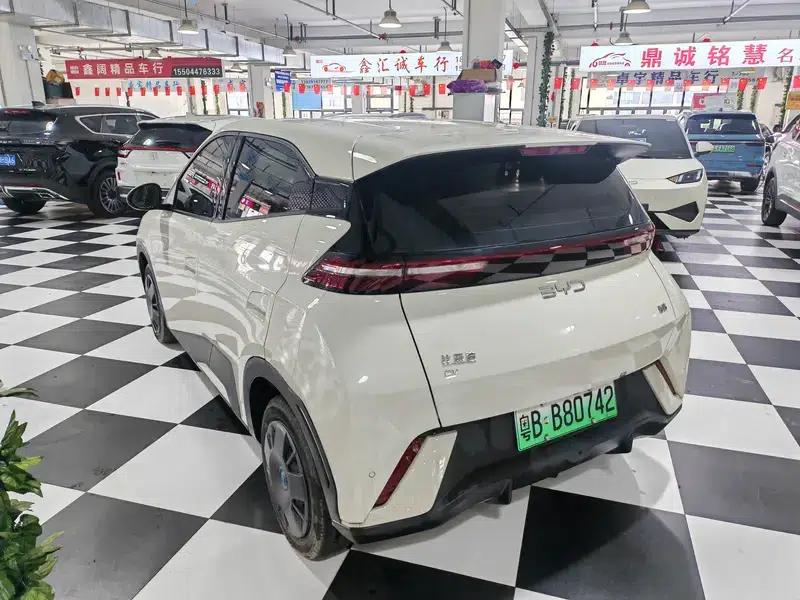 Seagull 2025 305KM Vitality Edition — миниатюра 4