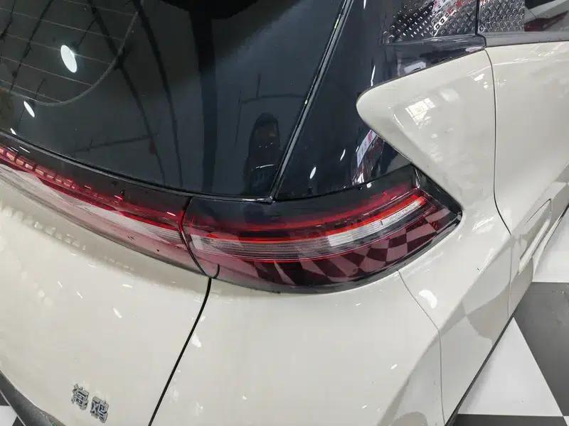 Seagull 2025 305KM Vitality Edition — миниатюра 5