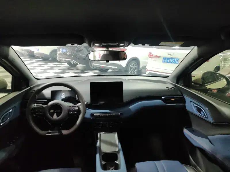 Seagull 2025 305KM Vitality Edition — миниатюра 6