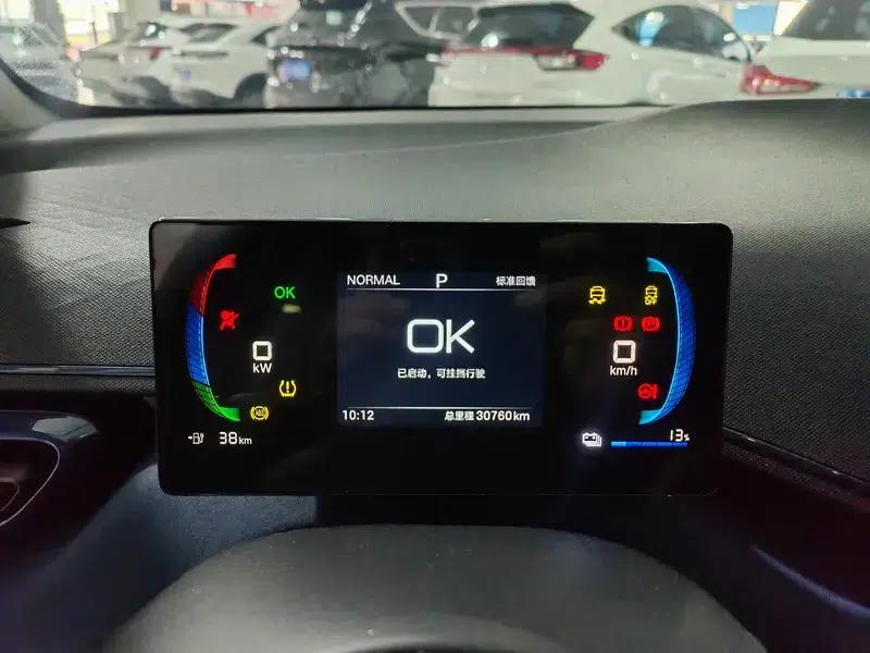 Seagull 2025 305KM Vitality Edition — миниатюра 7