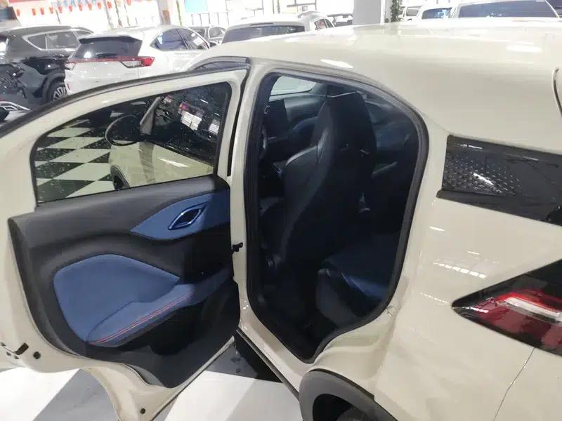 Seagull 2025 305KM Vitality Edition — миниатюра 9