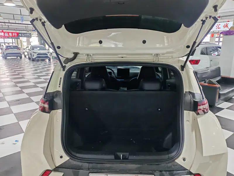 Seagull 2025 305KM Vitality Edition — миниатюра 10