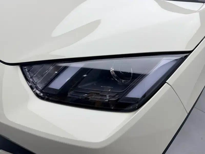 Seagull 2023 Vitality Edition — миниатюра 12