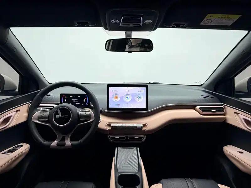 Seagull 2023 Vitality Edition — миниатюра 14
