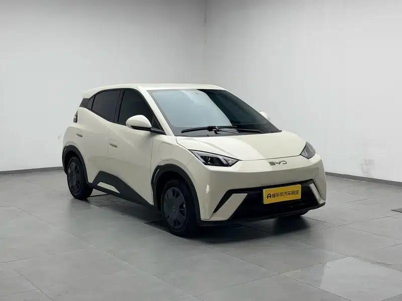 Seagull 2023 Vitality Edition — миниатюра 3