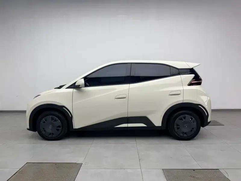 Seagull 2023 Vitality Edition — миниатюра 4