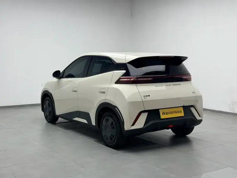 Seagull 2023 Vitality Edition — миниатюра 5