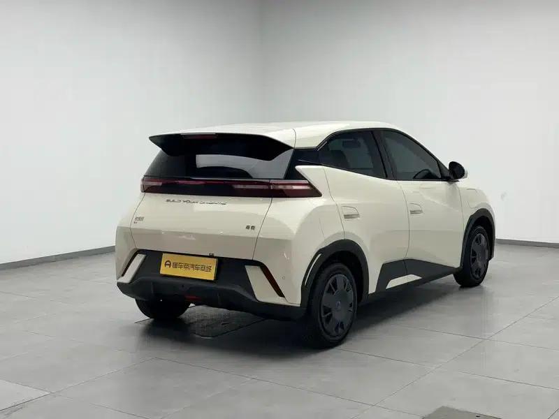 Seagull 2023 Vitality Edition — миниатюра 7