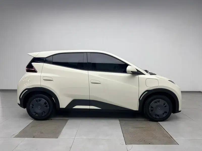 Seagull 2023 Vitality Edition — миниатюра 8