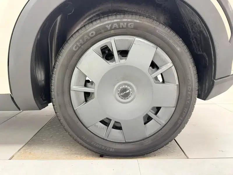 Seagull 2023 Vitality Edition — миниатюра 9