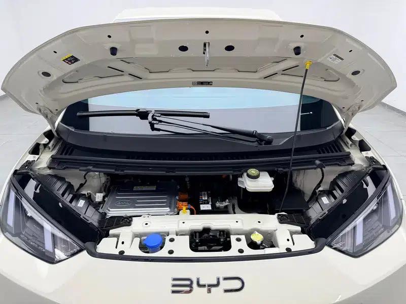 Seagull 2023 Vitality Edition — миниатюра 10