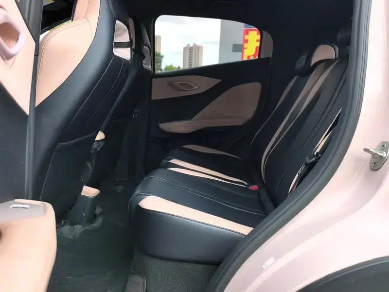 Seagull 2024 Glory Edition 305KM Vitality Edition — миниатюра 16