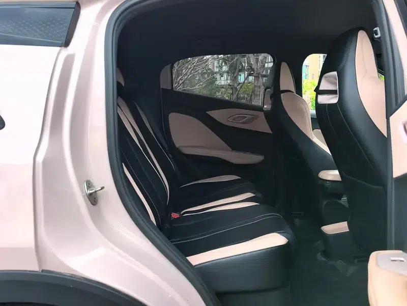 Seagull 2024 Glory Edition 305KM Vitality Edition — миниатюра 19