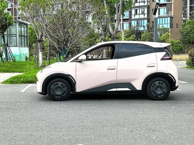 Seagull 2024 Glory Edition 305KM Vitality Edition — миниатюра 4