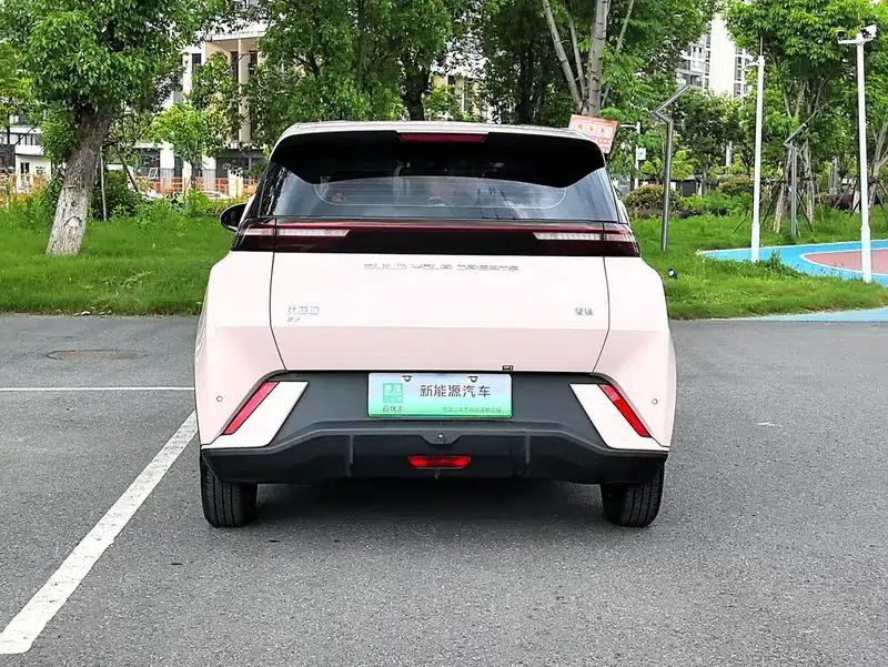 Seagull 2024 Glory Edition 305KM Vitality Edition — миниатюра 6