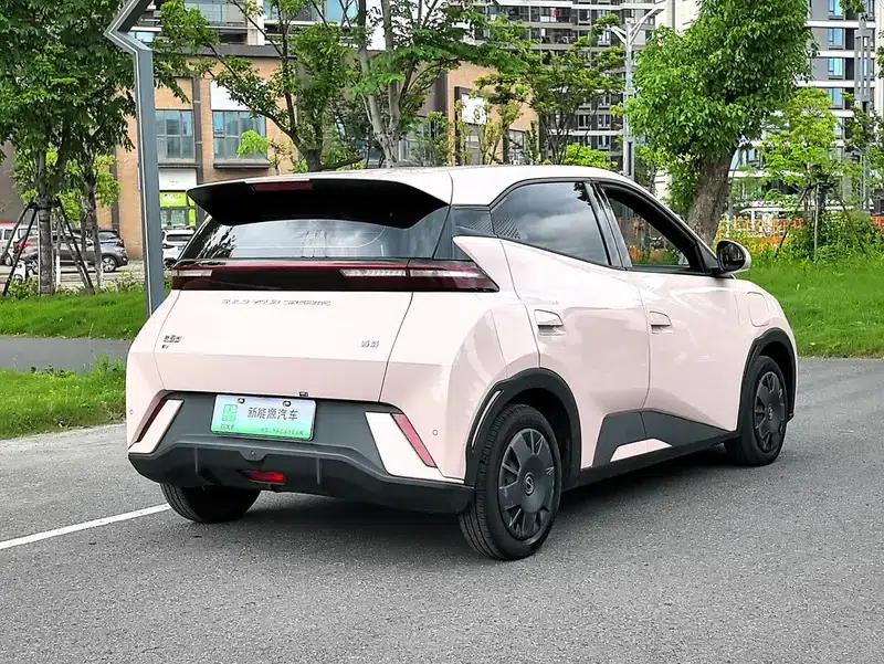 Seagull 2024 Glory Edition 305KM Vitality Edition — миниатюра 7
