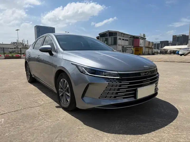 Destroyer 05 2024 Glory Edition DM-i 55KM Luxury Model — миниатюра 3