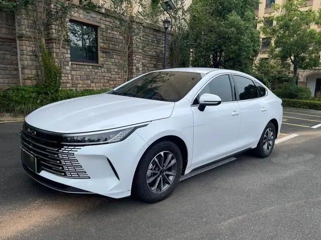 Destroyer 05 2024 Glory Edition DM-i 55KM Luxury Model