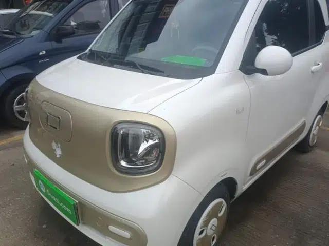 Bestune Pony 2024 170km Range Energizing Horse