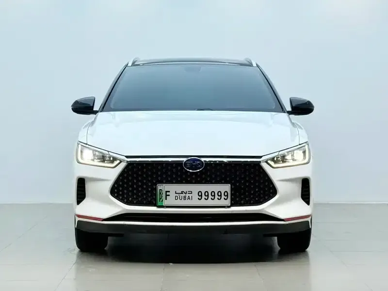 BYD e2 2021 Premium Edition — миниатюра 2