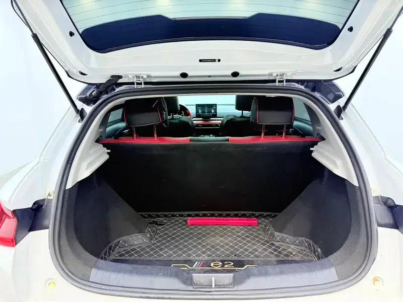BYD e2 2021 Premium Edition — миниатюра 15