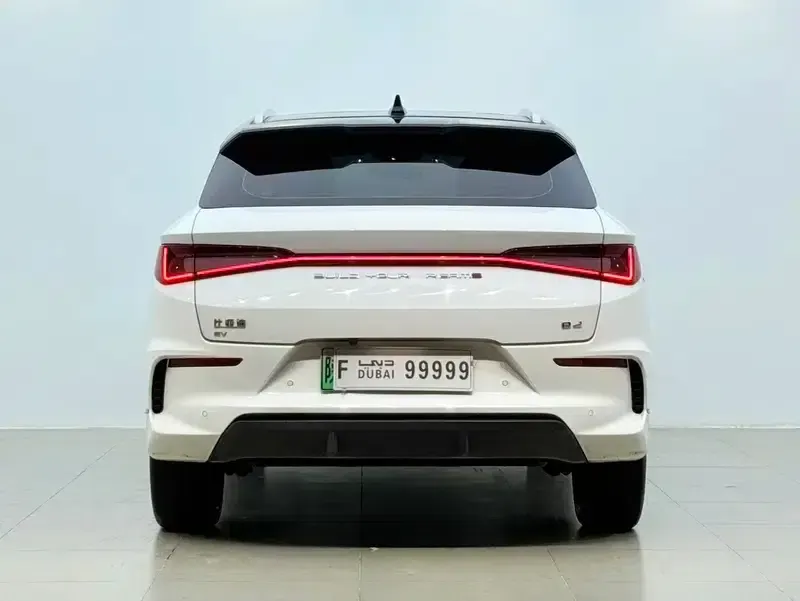 BYD e2 2021 Premium Edition — миниатюра 5