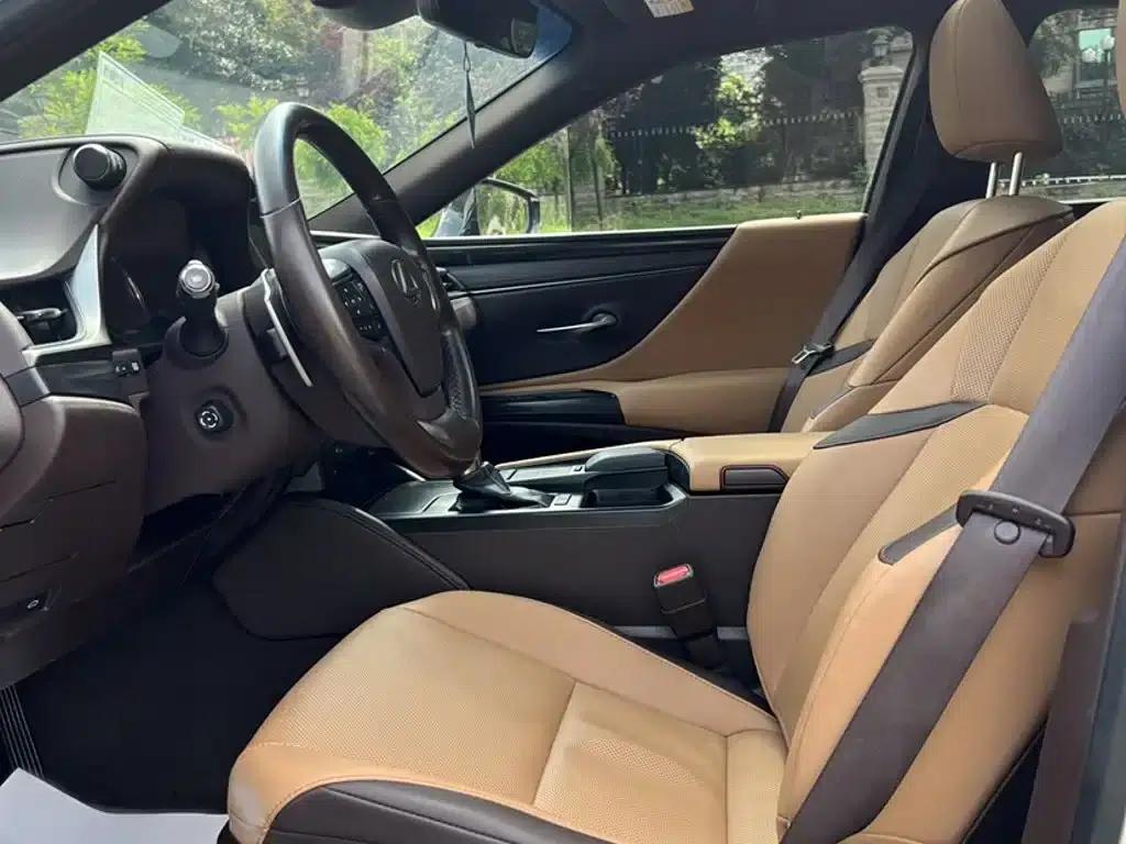 Lexus ES 2018 300h Premium Edition (China VI Emission Standard) — миниатюра 15
