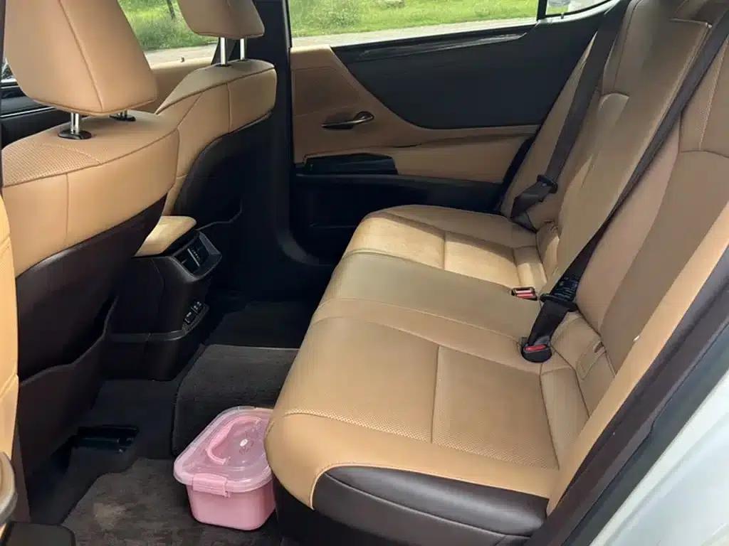 Lexus ES 2018 300h Premium Edition (China VI Emission Standard) — миниатюра 18