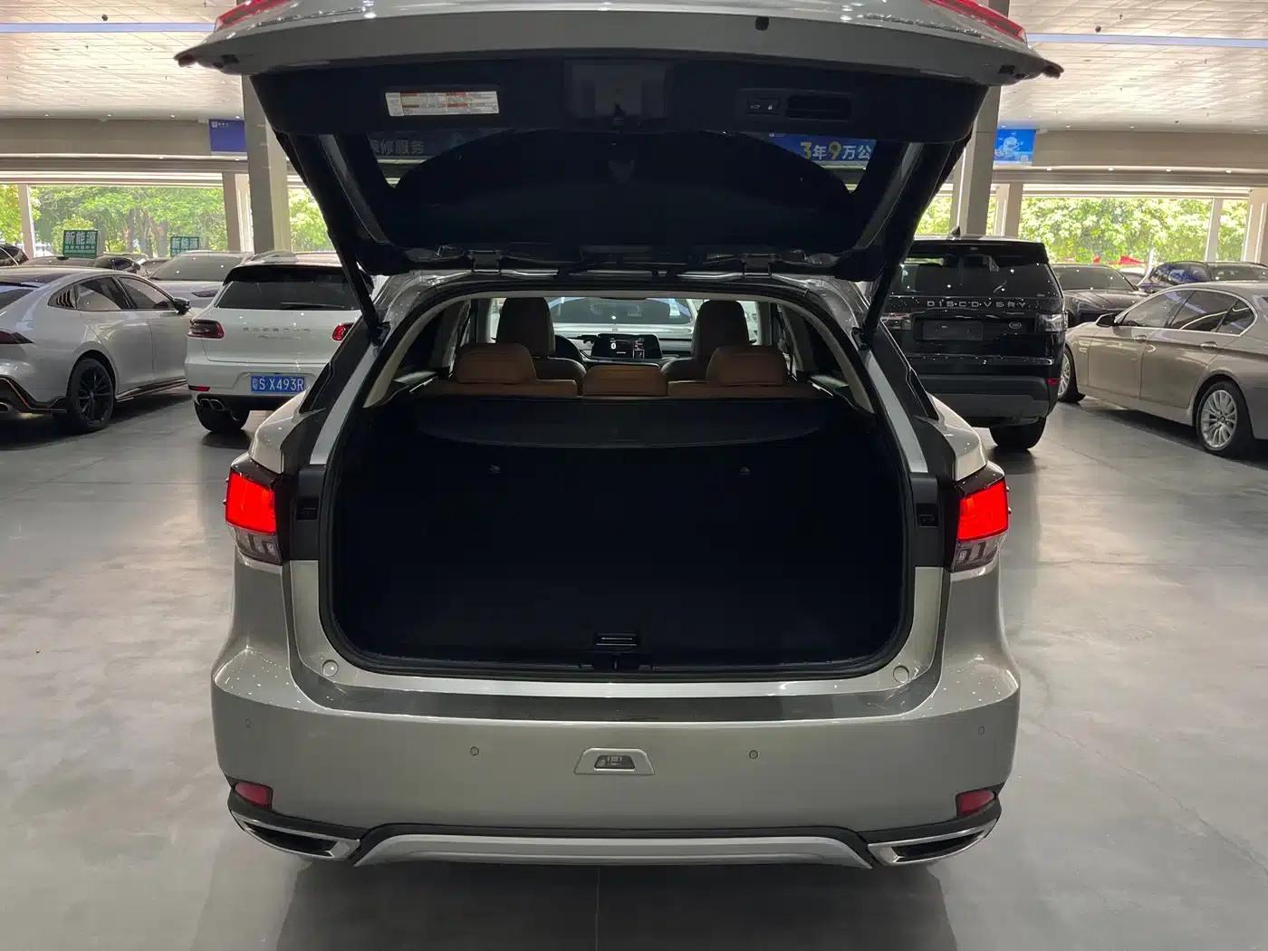 Lexus RX 2020 300 AWD Elegant Edition (China VI Emission Standard) — миниатюра 15