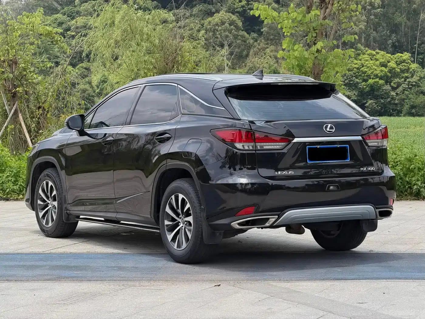 Lexus RX 2020 Facelift 300 2WD Comfort Edition — миниатюра 4