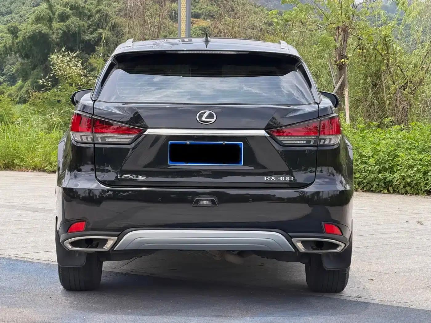 Lexus RX 2020 Facelift 300 2WD Comfort Edition — миниатюра 5