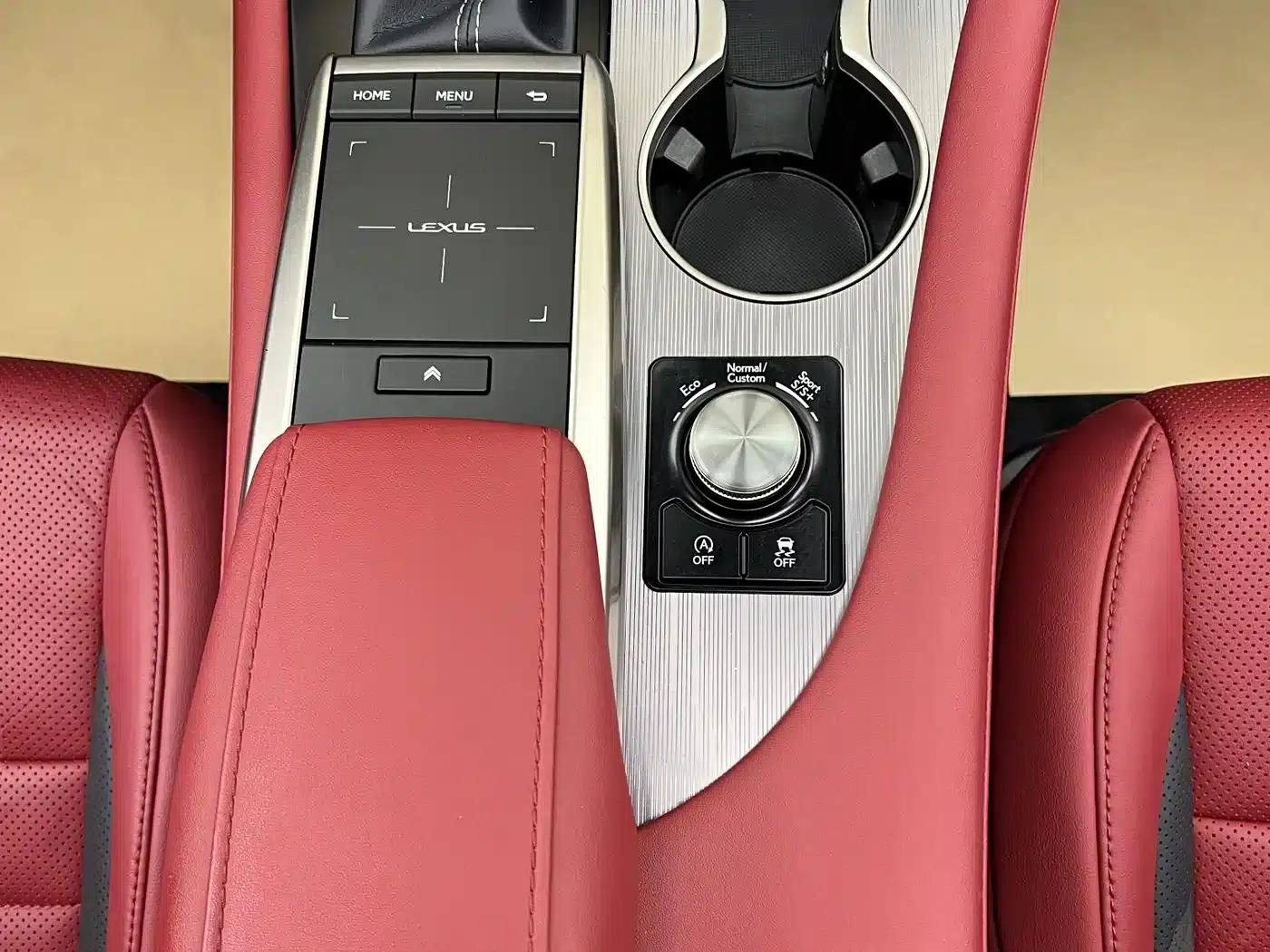 Lexus RX 2020 300 AWD F Sport (China V emission standard) — миниатюра 23