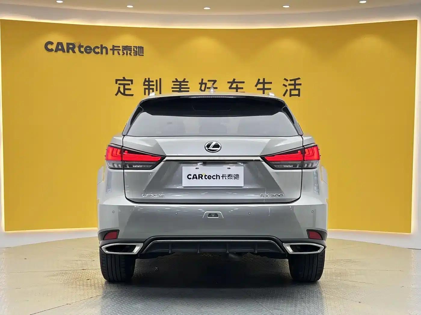 Lexus RX 2020 300 AWD F Sport (China V emission standard) — миниатюра 29