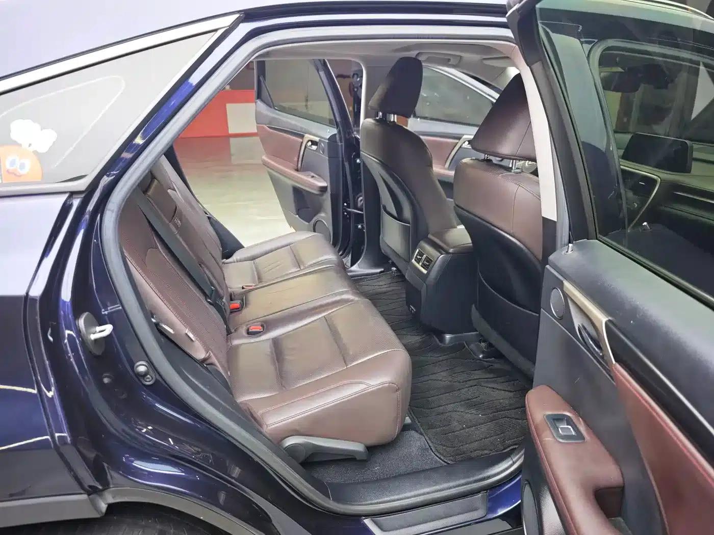 Lexus RX 2020 300 2WD Comfort Edition (China VI Emission Standard) — миниатюра 13