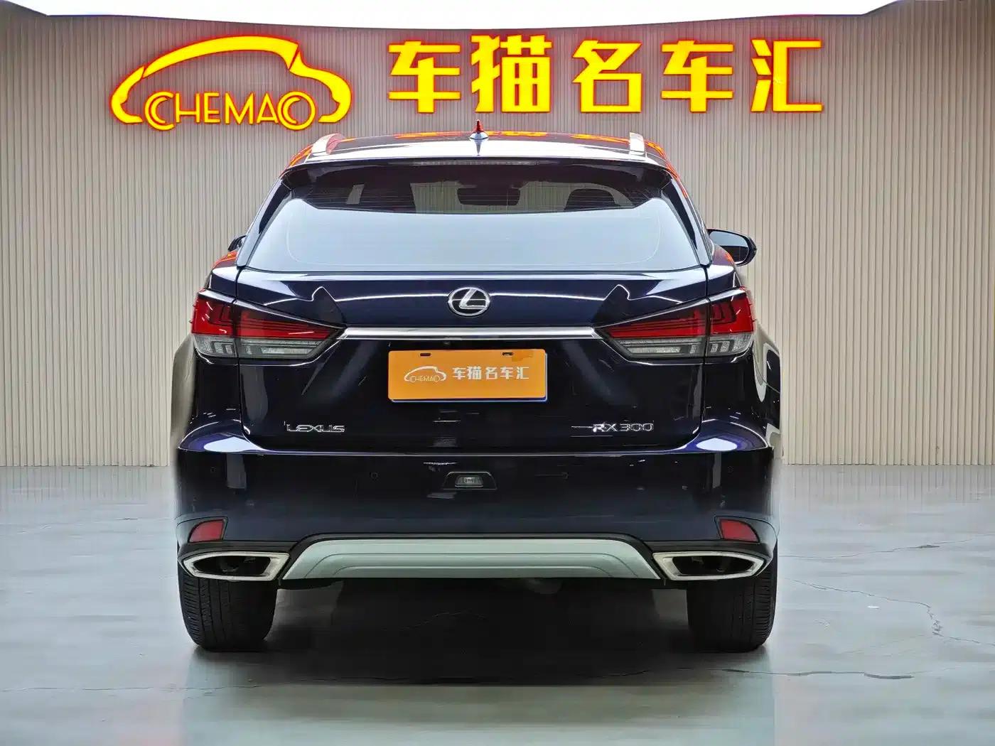 Lexus RX 2020 300 2WD Comfort Edition (China VI Emission Standard) — миниатюра 6