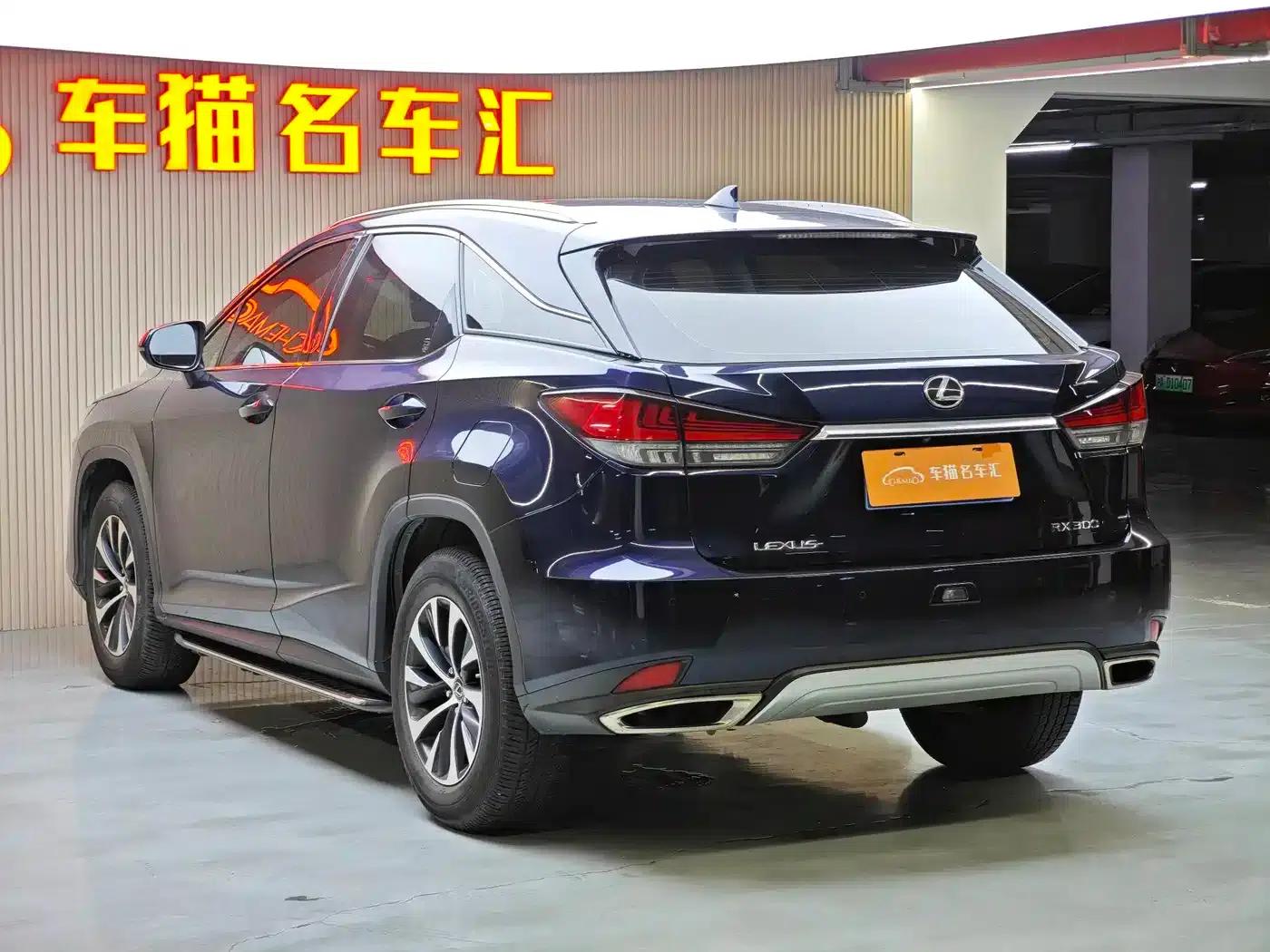 Lexus RX 2020 300 2WD Comfort Edition (China VI Emission Standard) — миниатюра 7
