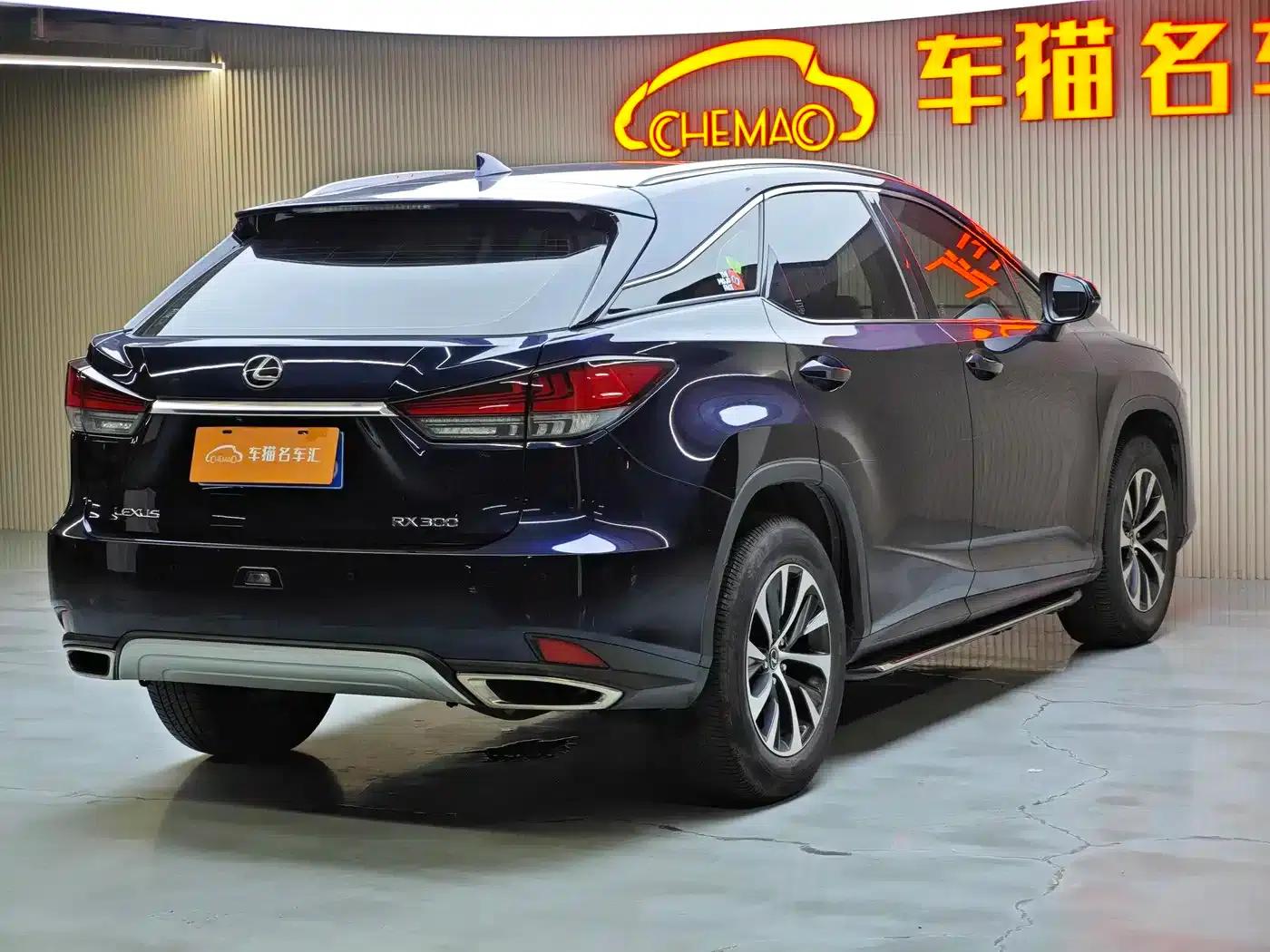 Lexus RX 2020 300 2WD Comfort Edition (China VI Emission Standard) — миниатюра 8
