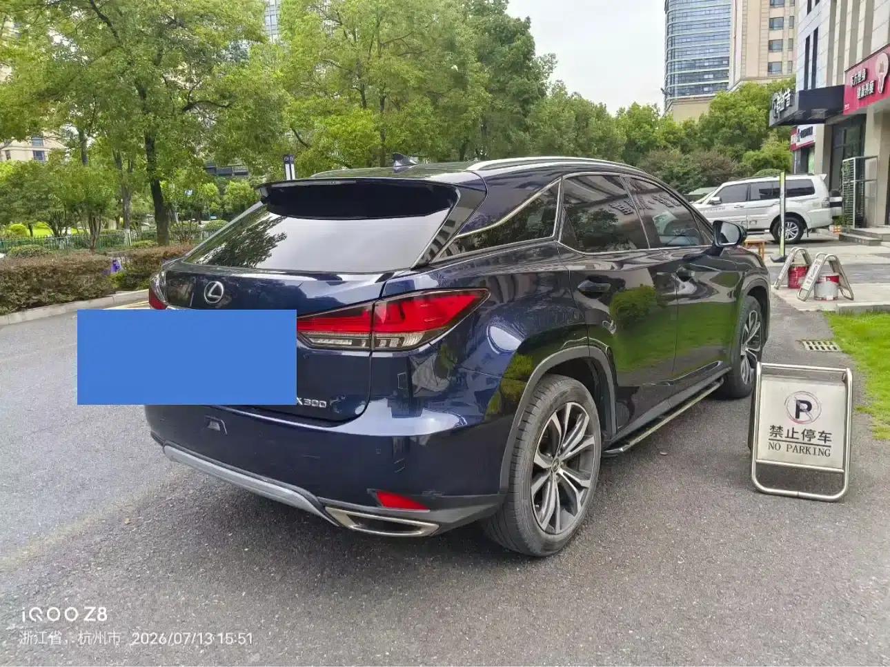 Lexus RX 2020 300 AWD Elegant Edition (China VI Emission Standard) — миниатюра 4