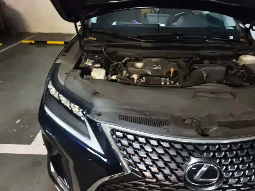 Lexus RX 2020 Facelift 300 AWD Elegant Edition — миниатюра 21