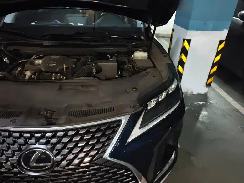 Lexus RX 2020 Facelift 300 AWD Elegant Edition — миниатюра 22