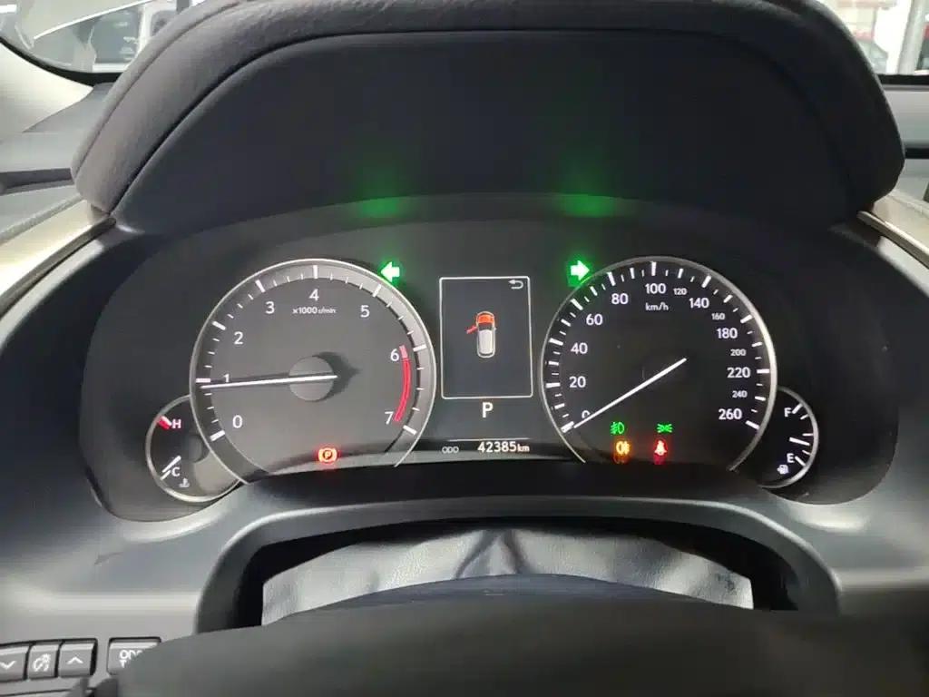 Lexus RX 2020 Facelift 300 2WD Elite Edition — миниатюра 12