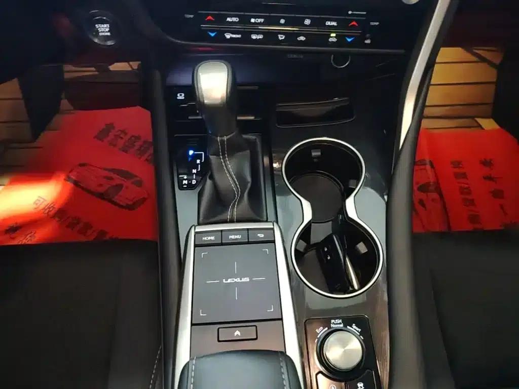 Lexus RX 2020 Facelift 300 2WD Elite Edition — миниатюра 14