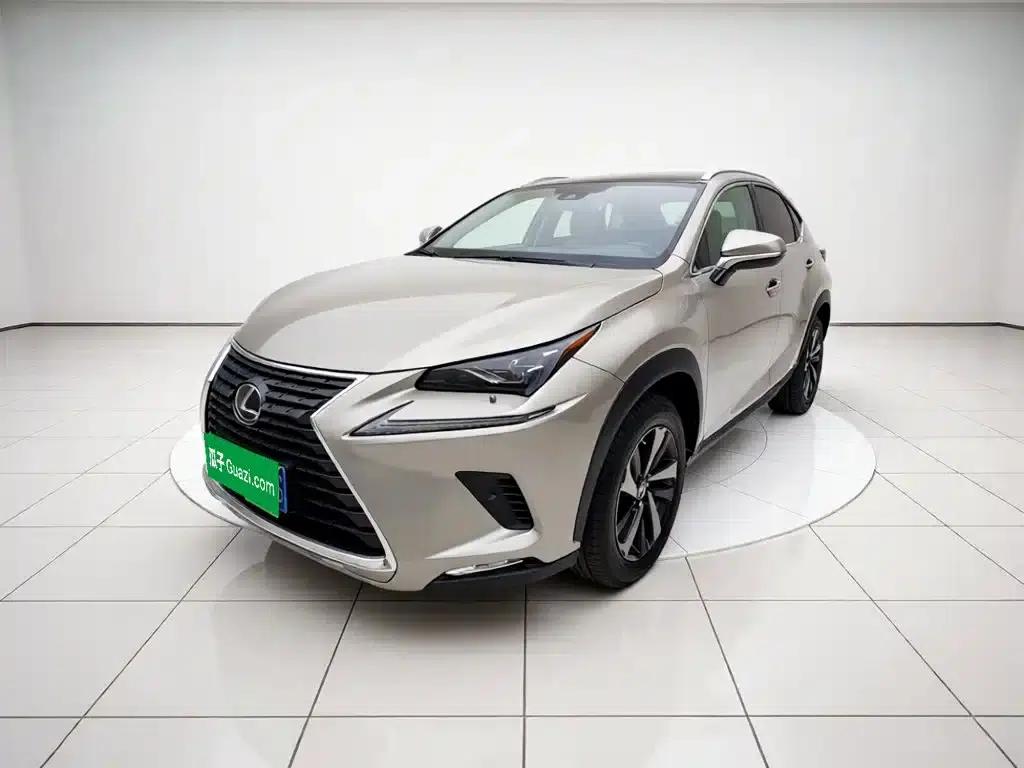 Lexus NX 2020 300h FWD F Sport Edition (China VI Emission Standard) — миниатюра 1