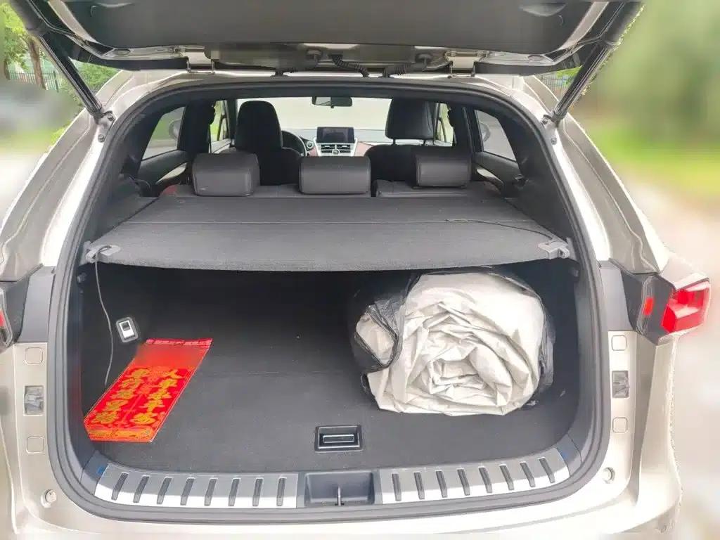 Lexus NX 2020 300h FWD F Sport Edition (China VI Emission Standard) — миниатюра 20