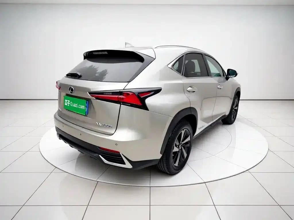 Lexus NX 2020 300h FWD F Sport Edition (China VI Emission Standard) — миниатюра 6