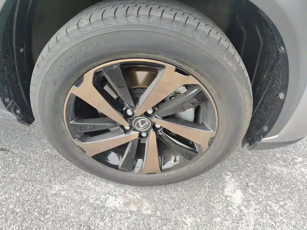 Lexus NX 2020 300h FWD F Sport Edition (China VI Emission Standard) — миниатюра 8
