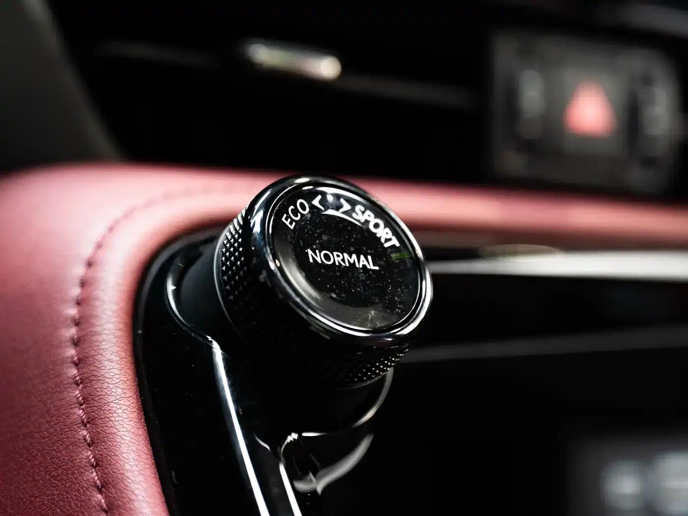 Lexus NX 2022 260 AWD Premium Edition — миниатюра 20