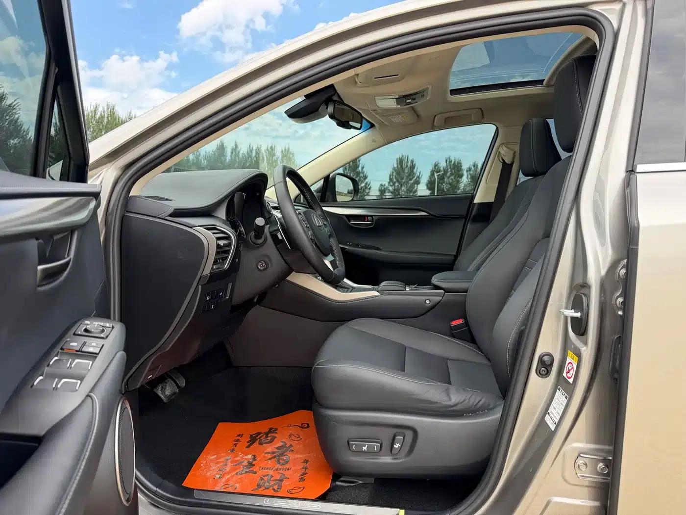 Lexus NX 2018 200 AWD Sport Edition (China V Emission Standard) — миниатюра 13