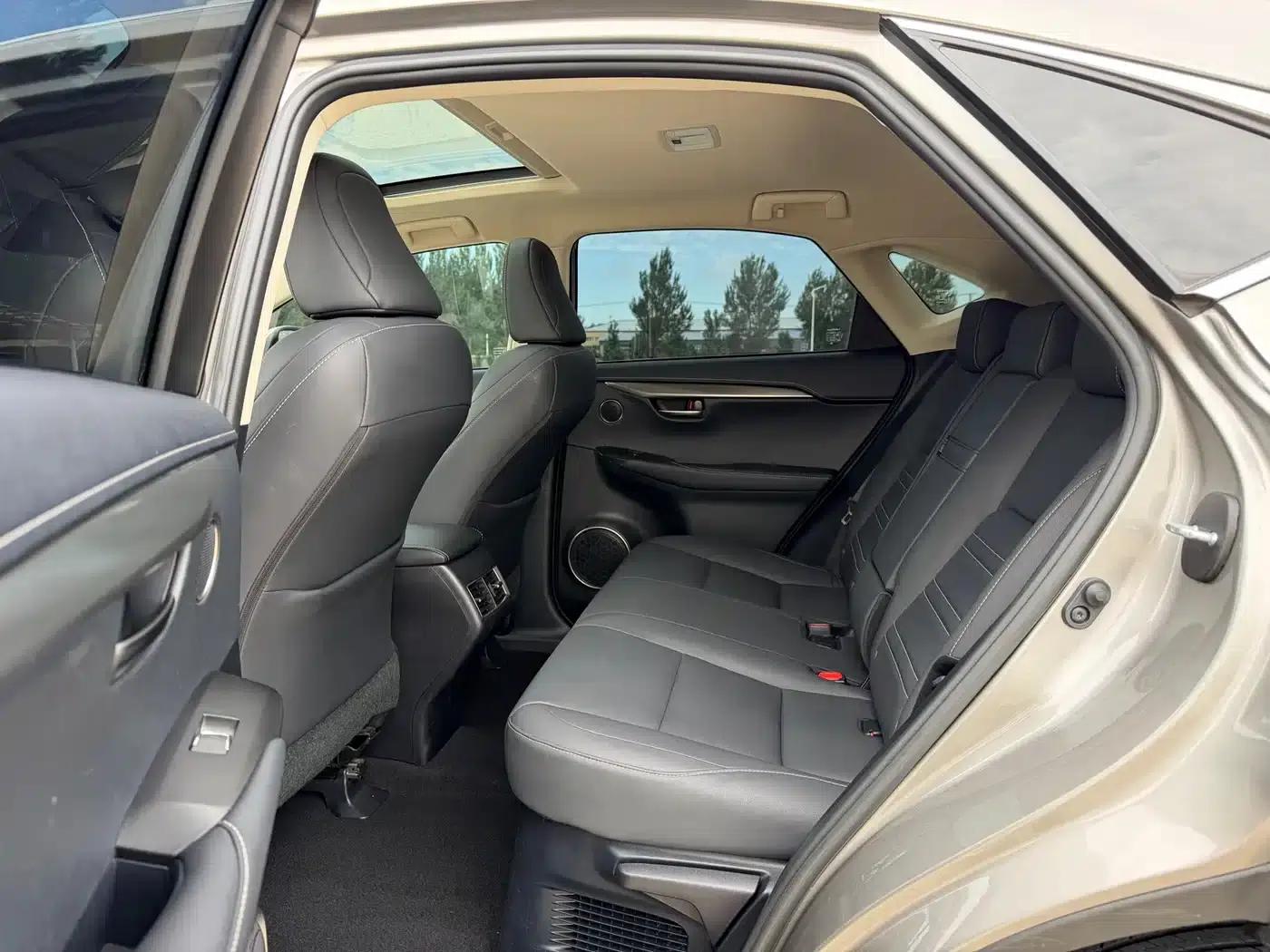 Lexus NX 2018 200 AWD Sport Edition (China V Emission Standard) — миниатюра 8