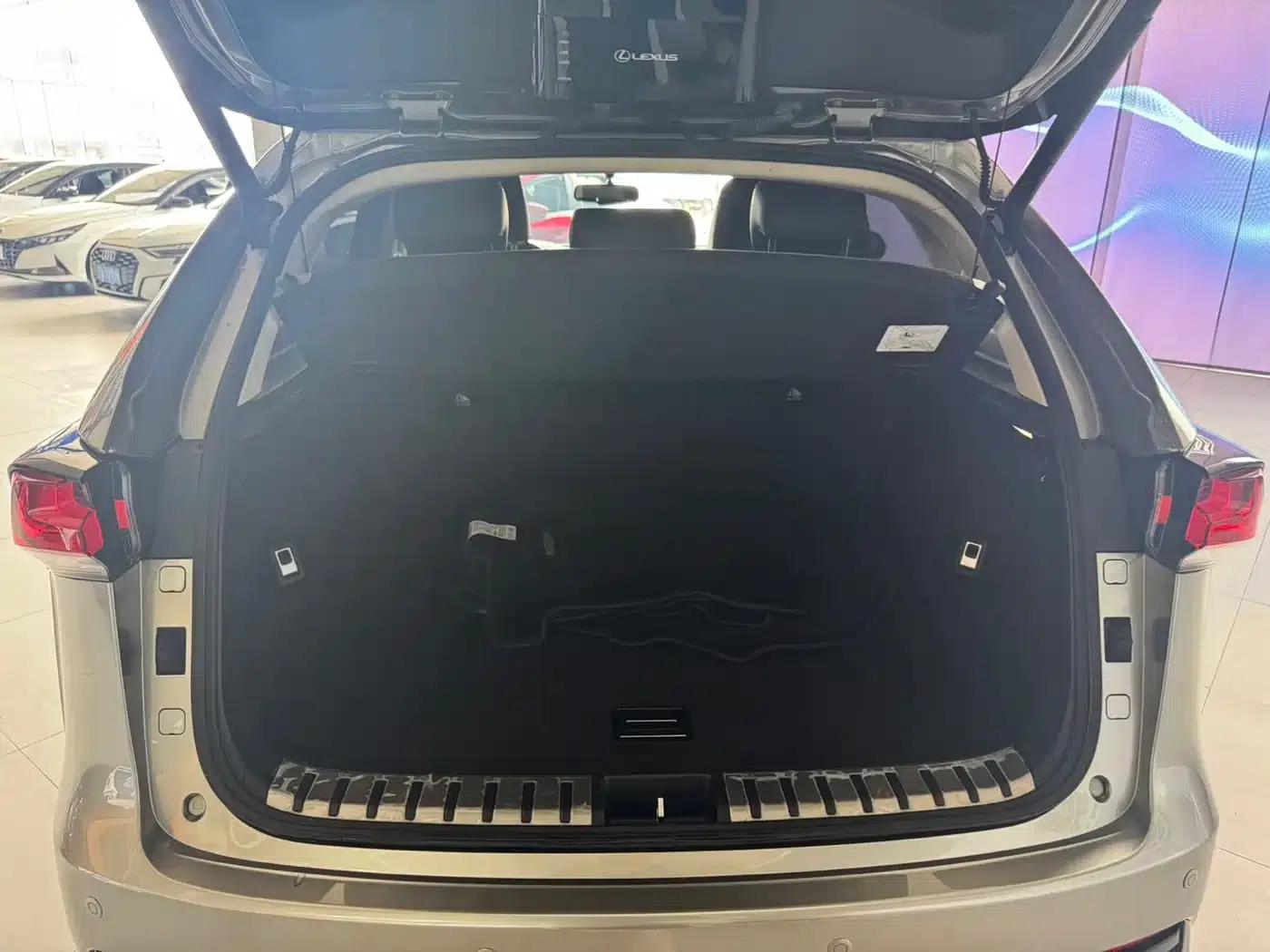 Lexus NX 2020 200 FWD Sport Edition (China VI Emission Standard) — миниатюра 9